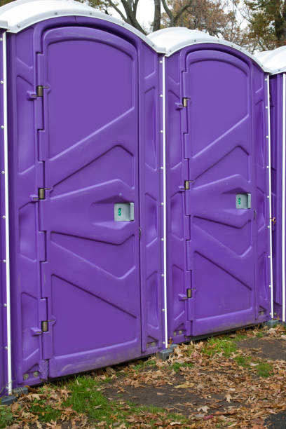 Best Portable Toilets with Baby Changing Stations  in Mount Pleasant, IA